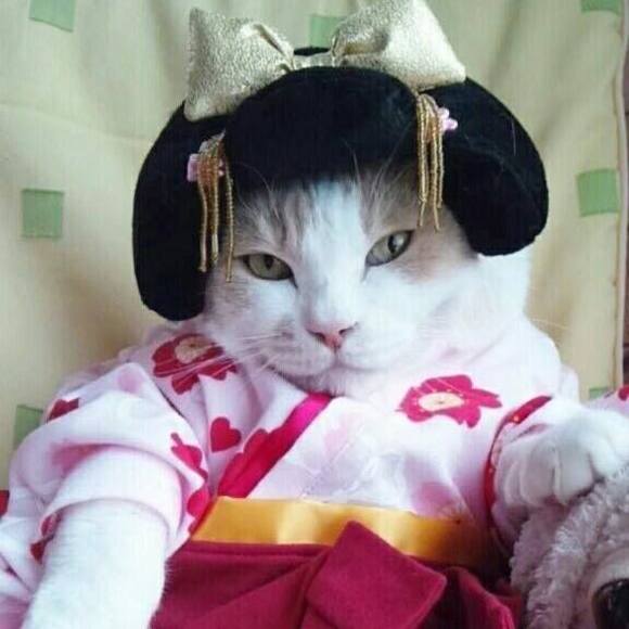 Meet your Posher, Deb - Picture 1 of 1